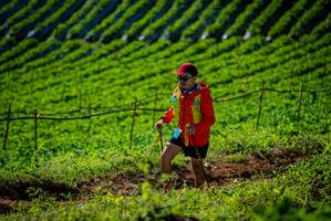 BIB: 
                            <button type="button" onclick="openModal(19160878)" class="btn btn-primary btn-sm float-right btn-popup" data-toggle="modal" data-target=".modal-high-quality">
                        <i class="fas fa-shopping-cart"></i> Add to Cart
                    </button>
                                            <button type="button" onclick="isThisMe(19160878, true)" class="btn btn-success btn-sm float-right btn-popup btn-isme hidden" data-toggle="tooltip" data-placement="bottom" title="นี่คือรูปของคุณใช่ไหม คลิกที่นี่เพื่อเอาเข้าอัลบั้ม">
                        <i class="fas fa-plus"></i> Add to album
                    </button>
                    <button type="button" onclick="isThisMe(19160878, false)" class="btn btn-warning btn-sm float-right btn-popup btn-isnotme hidden">
                        <i class="fas fa-ban"></i> Remove from album
                    </button>